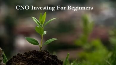 cno investing for beginners
