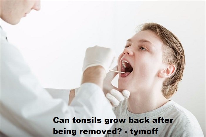 can tonsils grow back after being removed - tymoff